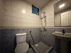 The Sunny Spring (D14), Apartment #529158381